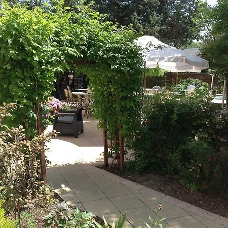 De France Lillebonne